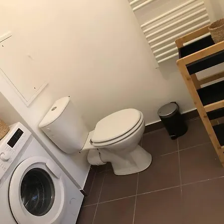 Cosy, Lyon, Avec Garage Privé