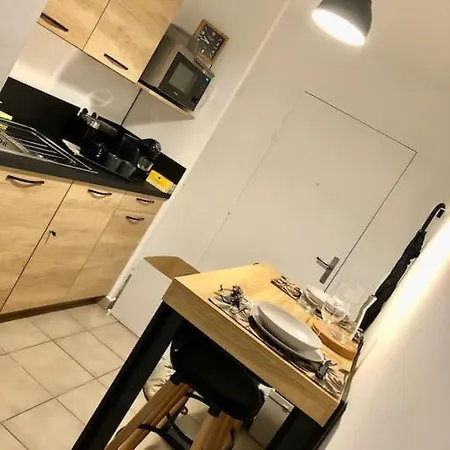 Cosy, Lyon, Avec Garage Prive 里昂