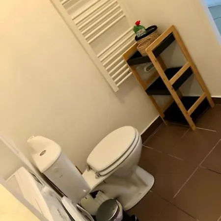 Cosy, Lyon, Avec Garage Privé *