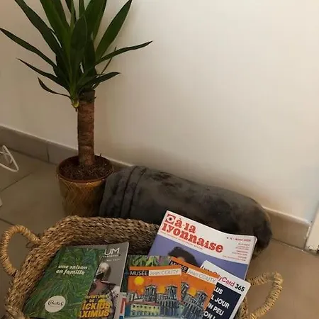 Cosy, Lyon, Avec Garage Prive 公寓 里昂